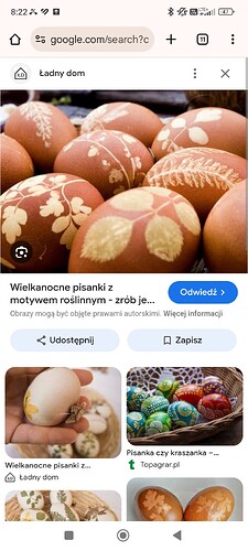 Screenshot_2025-04-02-08-22-13-585_com.android.chrome