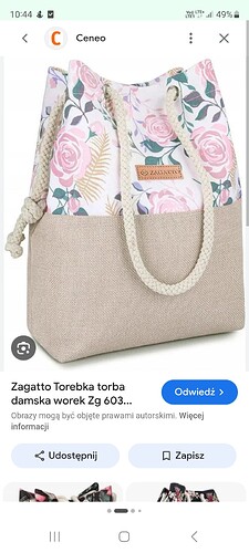 Screenshot_20260417_104441_Chrome