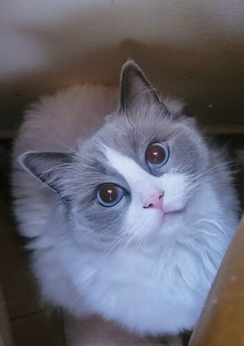 Screenshot_20251215_155444_Facebook