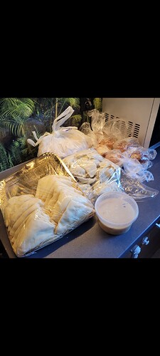 Screenshot_20260110_122601_Gallery