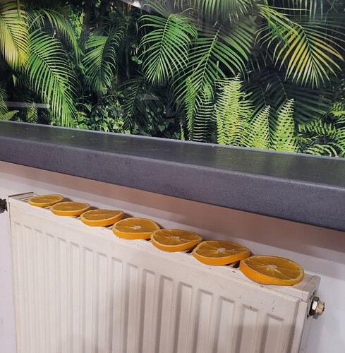 Screenshot_20250729_225353_Gallery