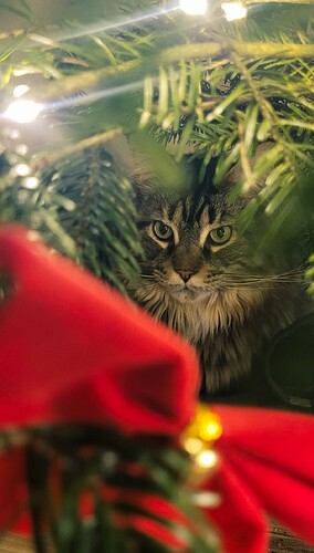 Screenshot_20251214_214509_Lightroom