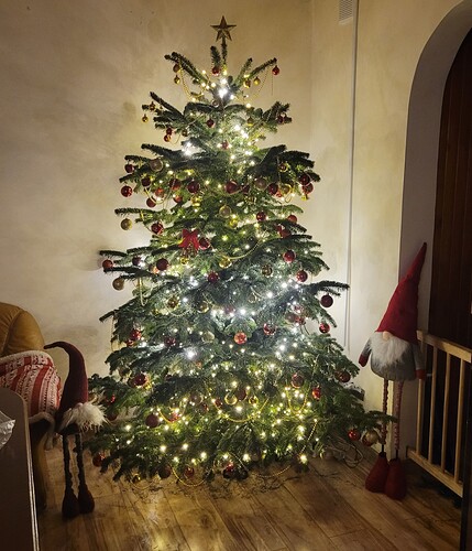 Screenshot_20250729_225441_Gallery